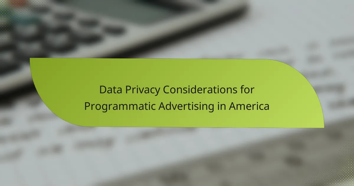 Data Privacy Considerations for Programmatic Advertising in America