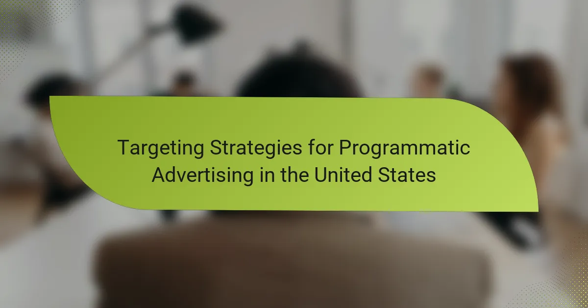 Targeting Strategies for Programmatic Advertising in the United States