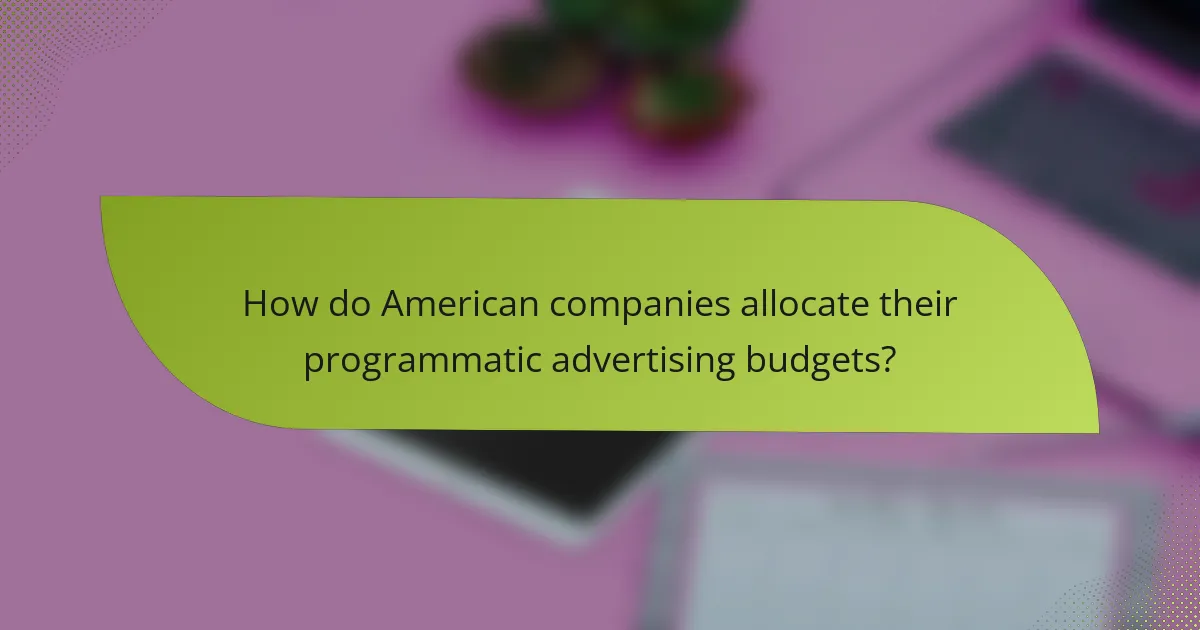 How do American companies allocate their programmatic advertising budgets?