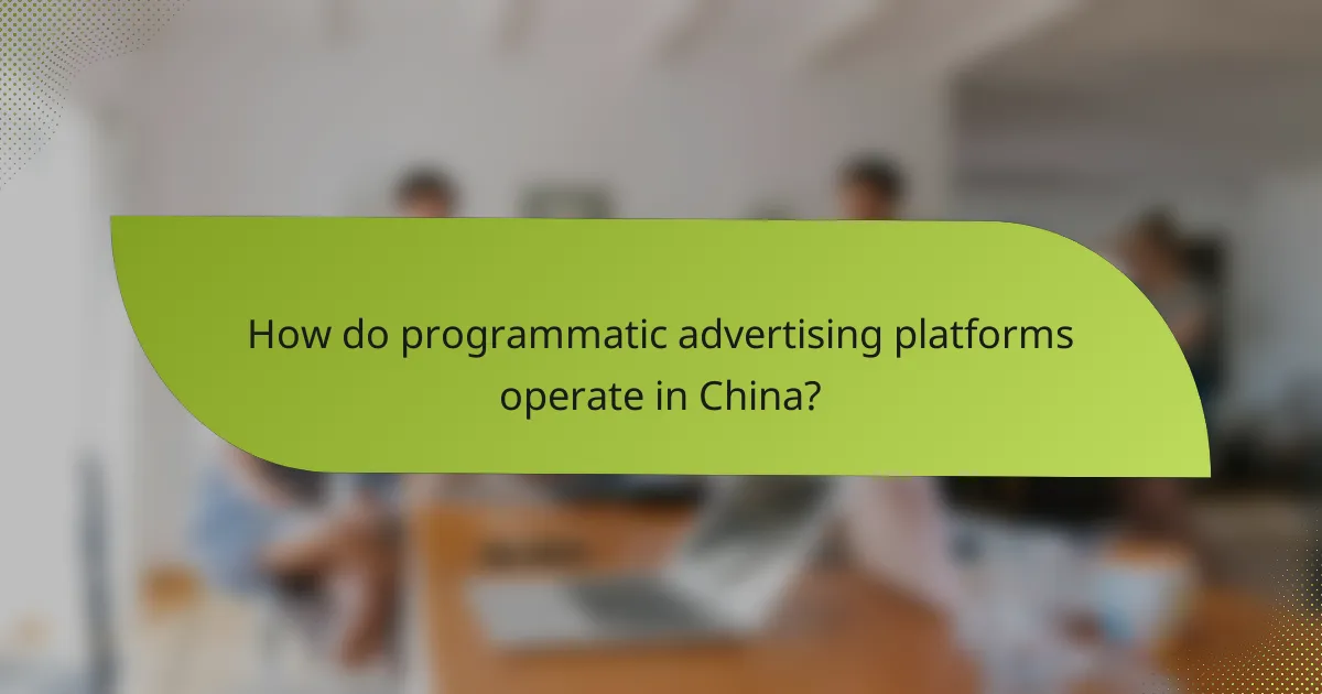 How do programmatic advertising platforms operate in China?