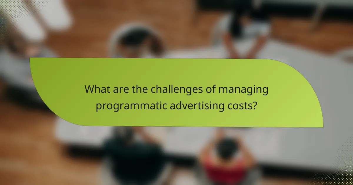 What are the challenges of managing programmatic advertising costs?