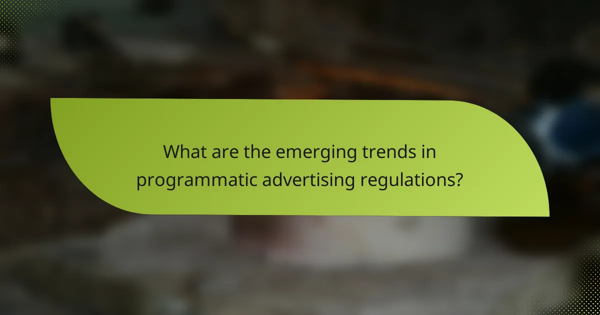 What are the emerging trends in programmatic advertising regulations?