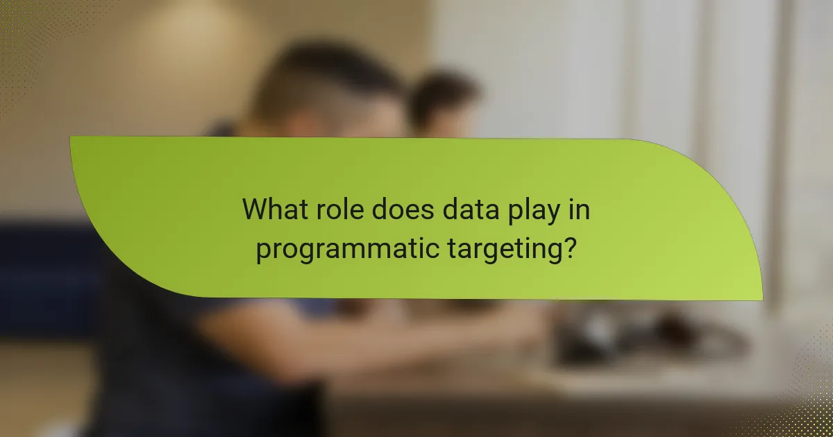 What role does data play in programmatic targeting?