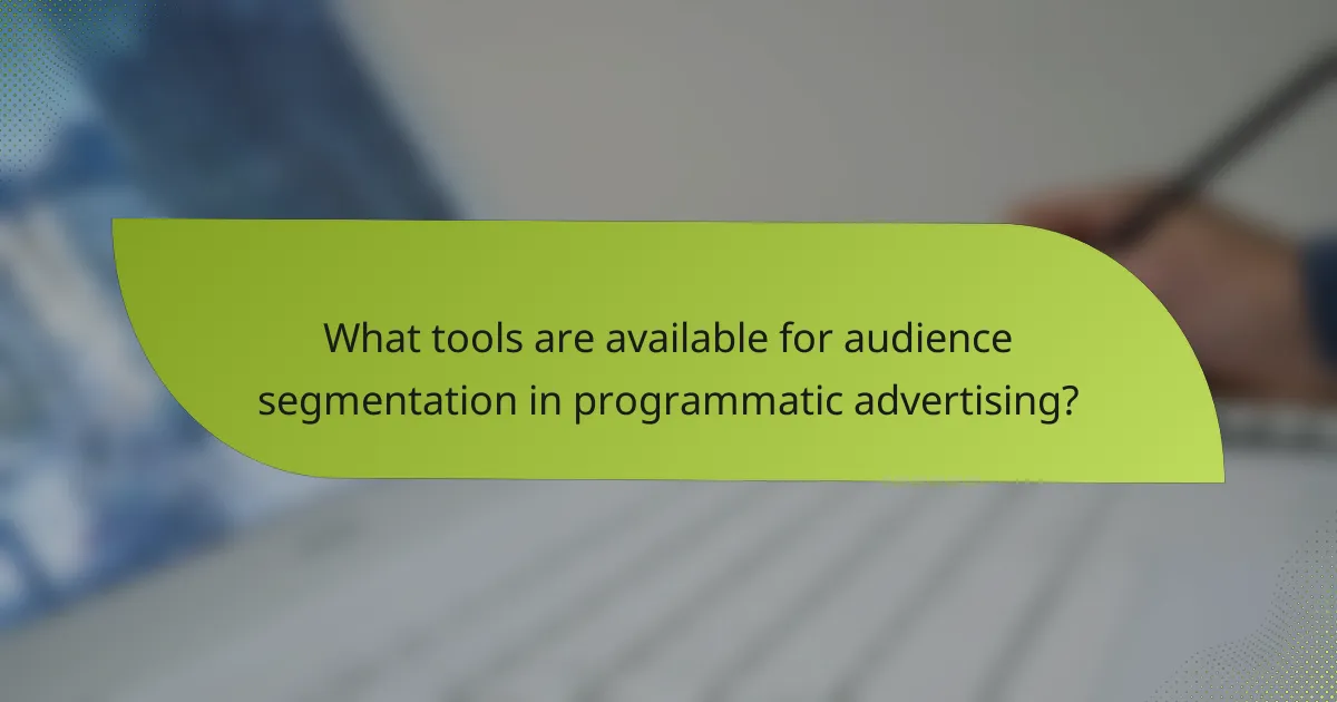 What tools are available for audience segmentation in programmatic advertising?